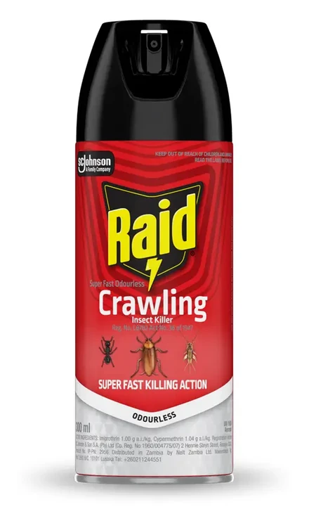 Raid Crawling Insect Killer Odourless 300ml